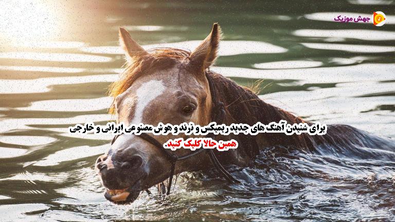 دانلود آهنگ دختر ایرونی که ناز و دلبری این پیغام بلک کتس و گوش کن از 